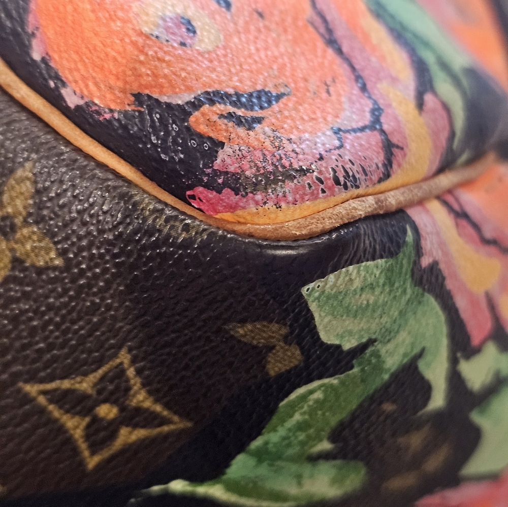 LV speedy 30 with roses - Picture 3 of 10